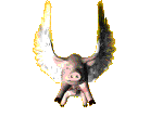 pigs fly